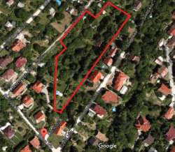 5000 m2 erdős liget a házak között