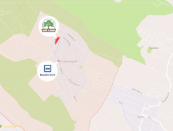 A DIÓ PARK A FALUBAN